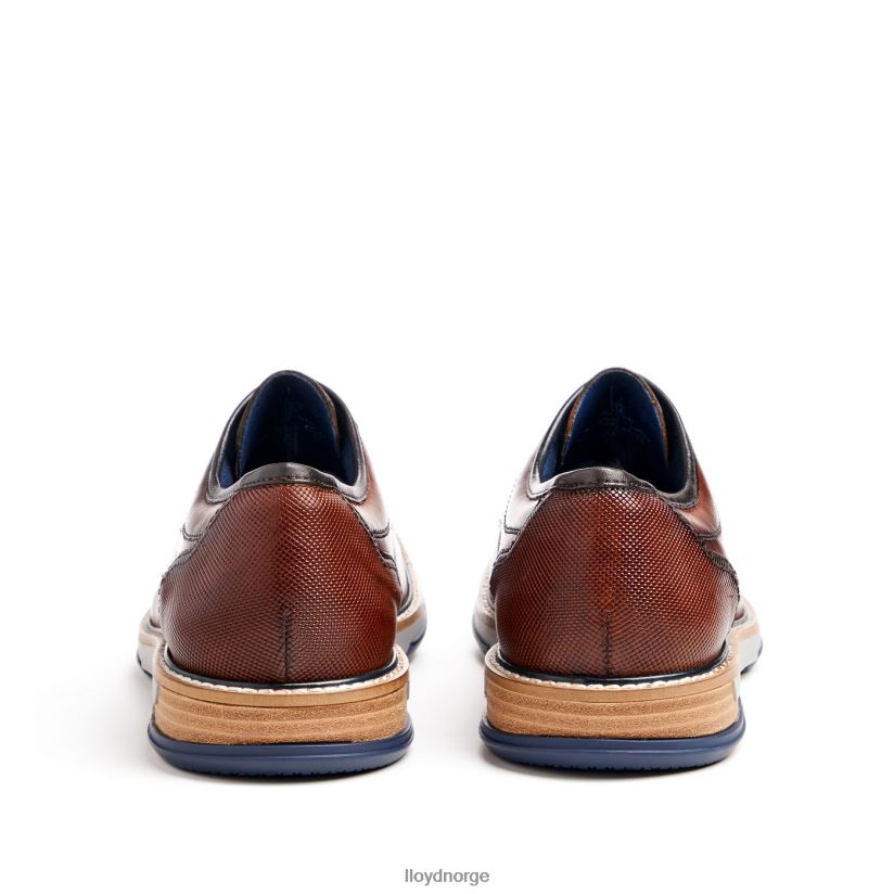 LLOYD dero menn sko brun 4X82ZP45