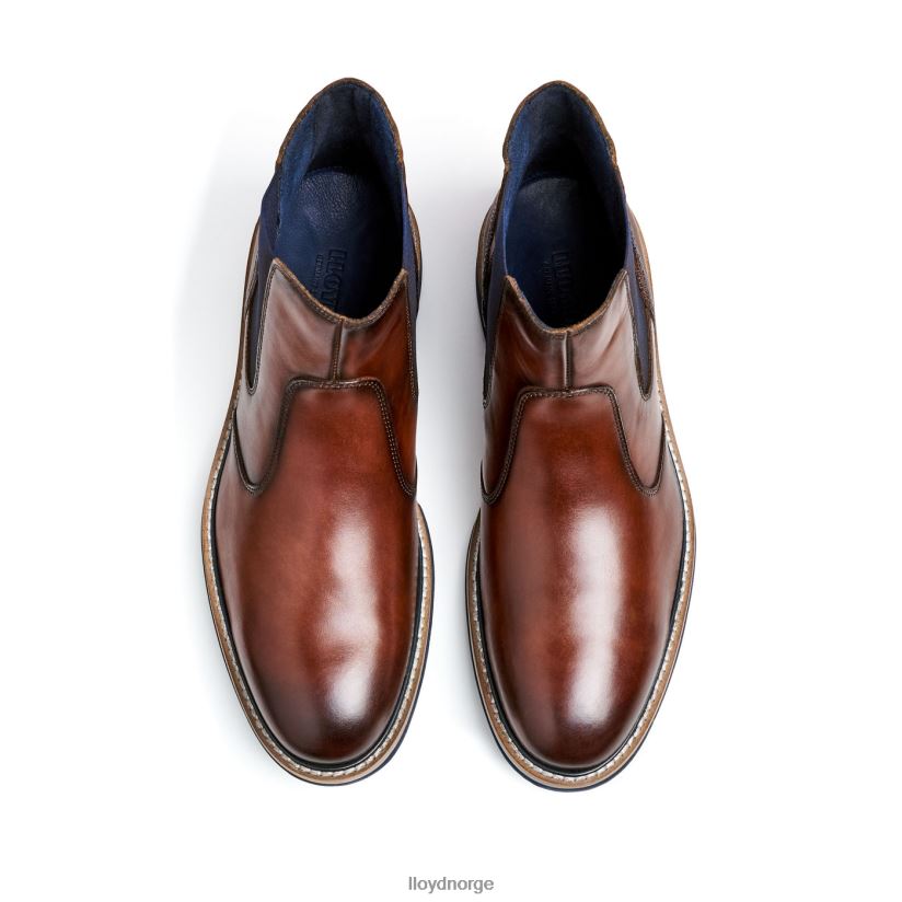 LLOYD dexter menn sko brun 4X82ZP469