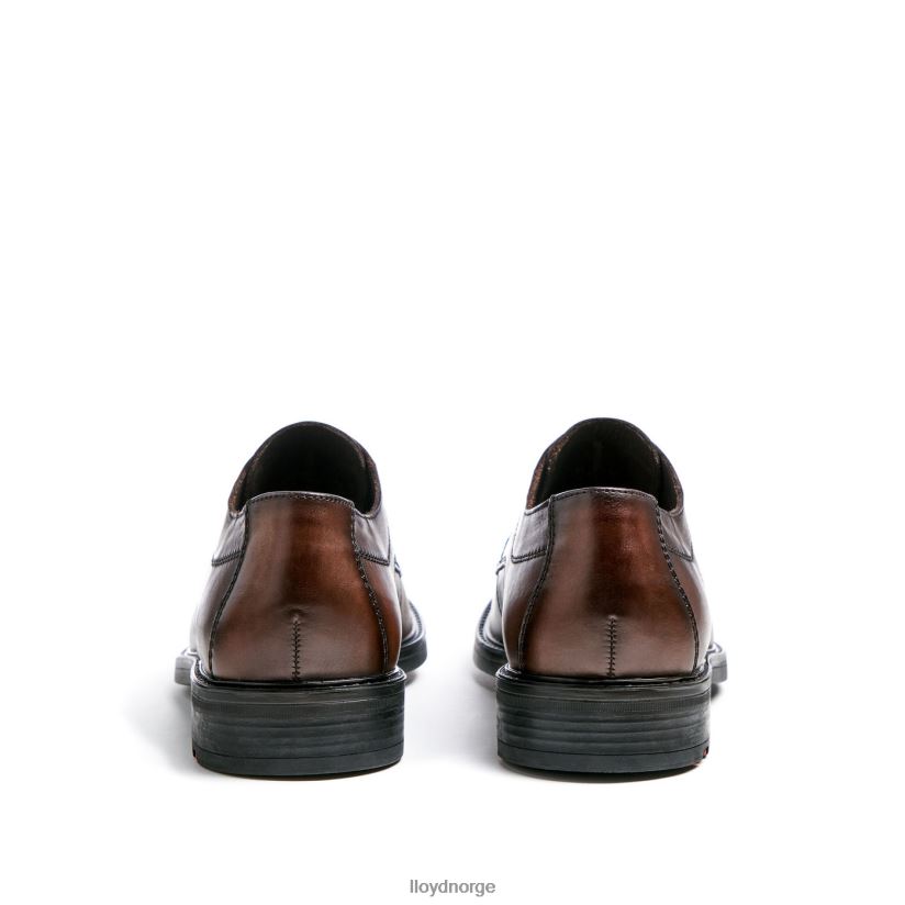 LLOYD diakon menn sko brun 4X82ZP71