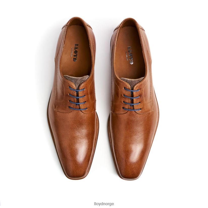 LLOYD don menn sko brun 4X82ZP109