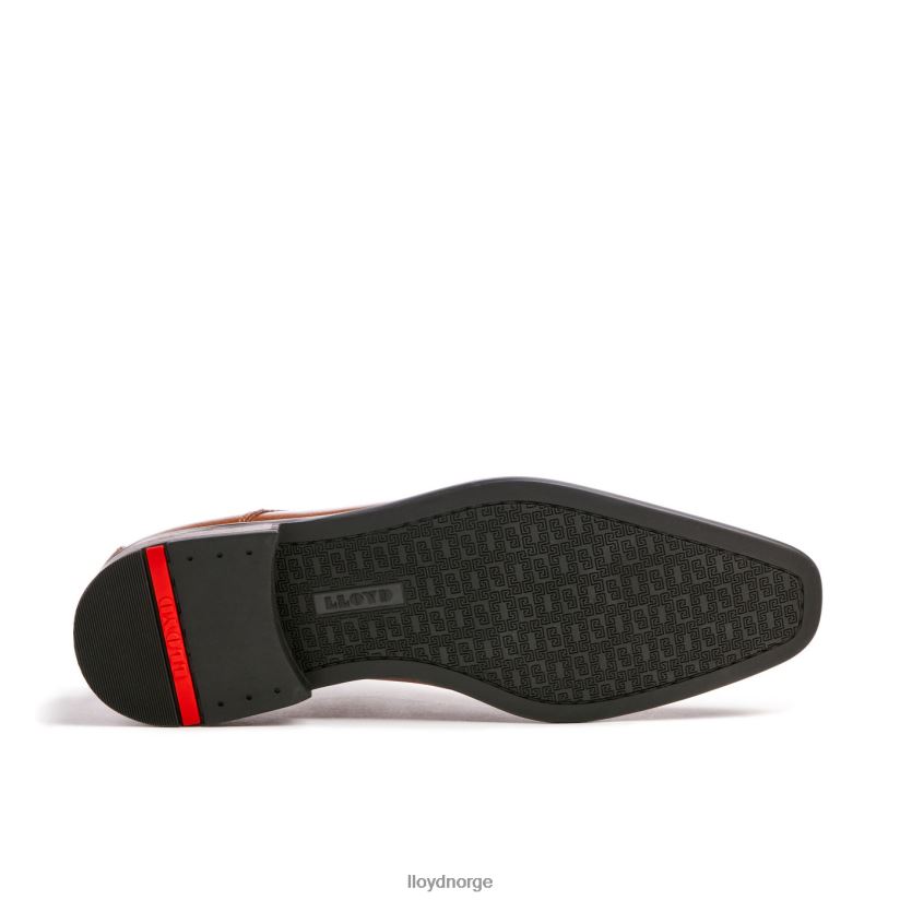 LLOYD don menn sko brun 4X82ZP109