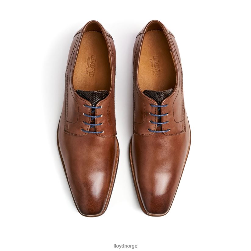 LLOYD don menn sko brun 4X82ZP112