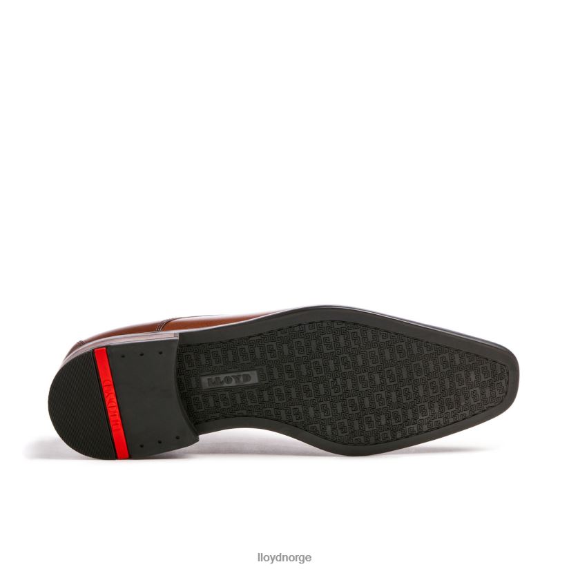 LLOYD don menn sko brun 4X82ZP112