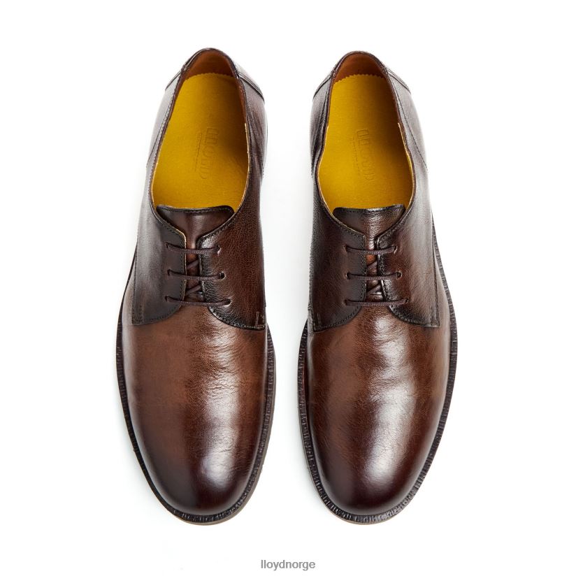 LLOYD dorian menn sko brun 4X82ZP37