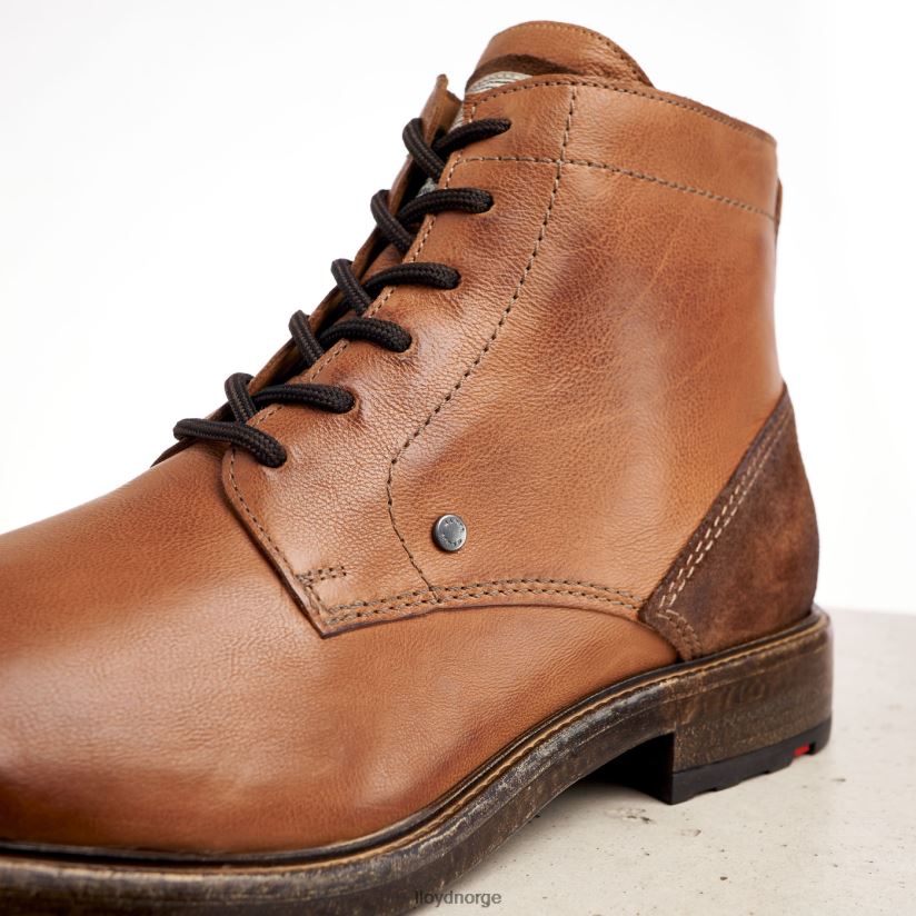 LLOYD dwayn menn sko brun 4X82ZP535