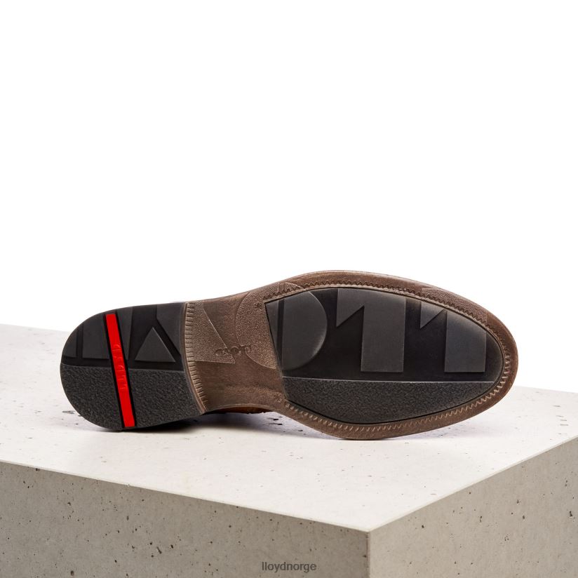 LLOYD dwayn menn sko brun 4X82ZP535