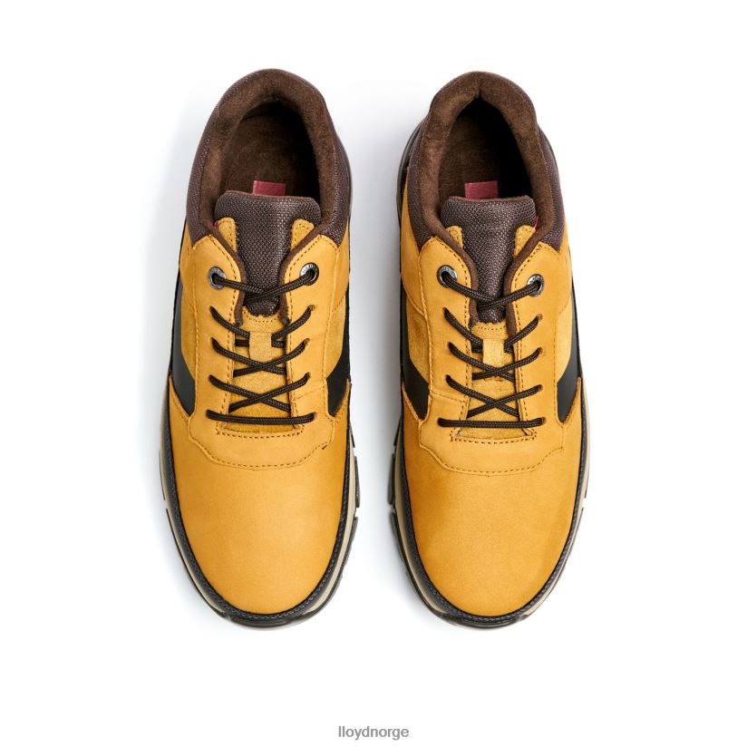 LLOYD ebe menn sko brun 4X82ZP295