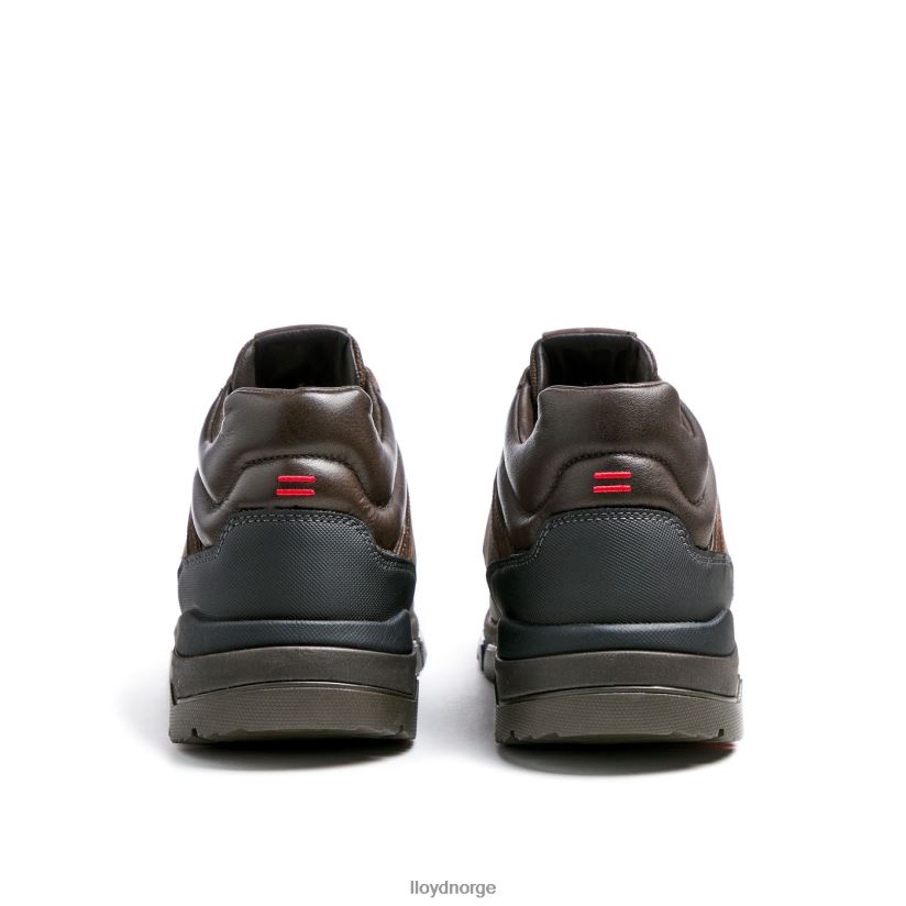 LLOYD edd menn sko brun 4X82ZP467
