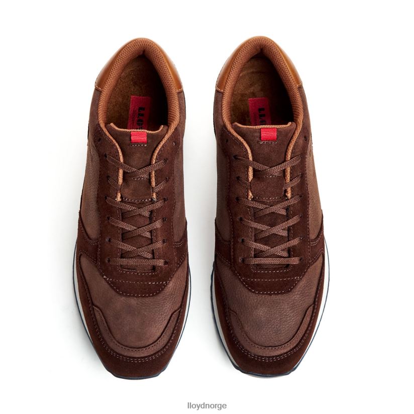 LLOYD edmond menn sko brun 4X82ZP290