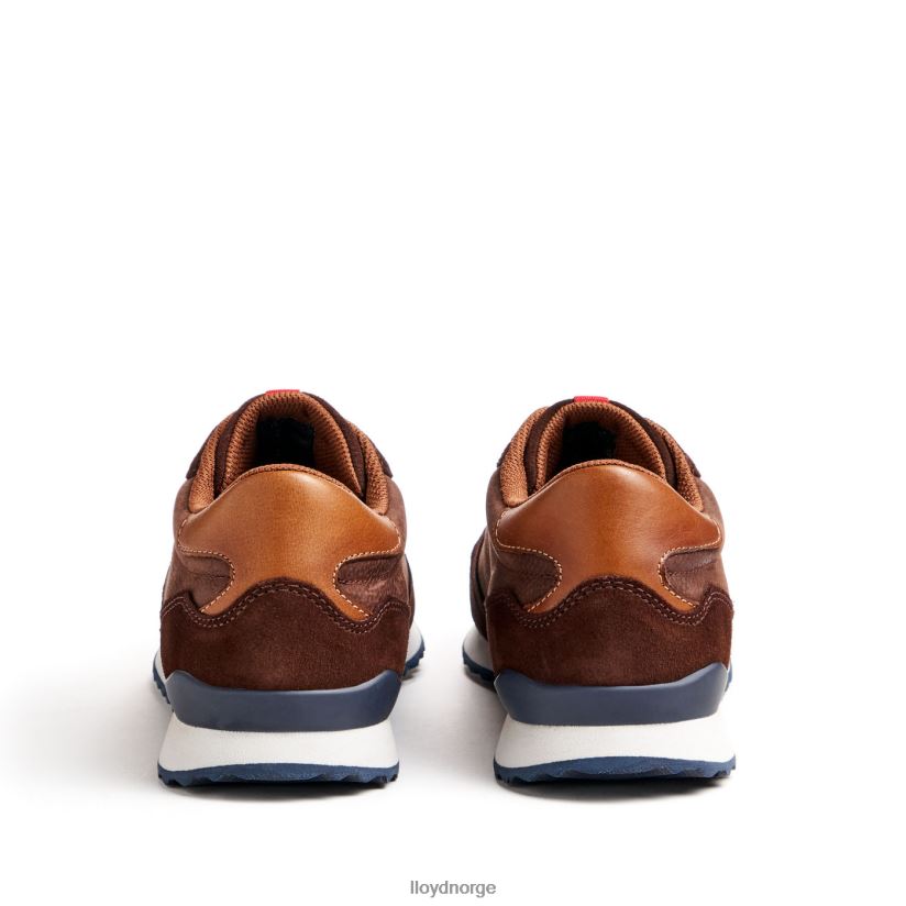LLOYD edmond menn sko brun 4X82ZP290
