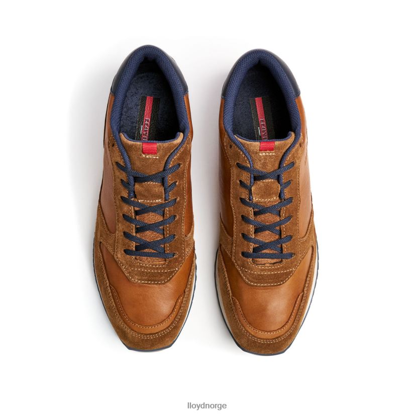 LLOYD edmond menn sko brun 4X82ZP310