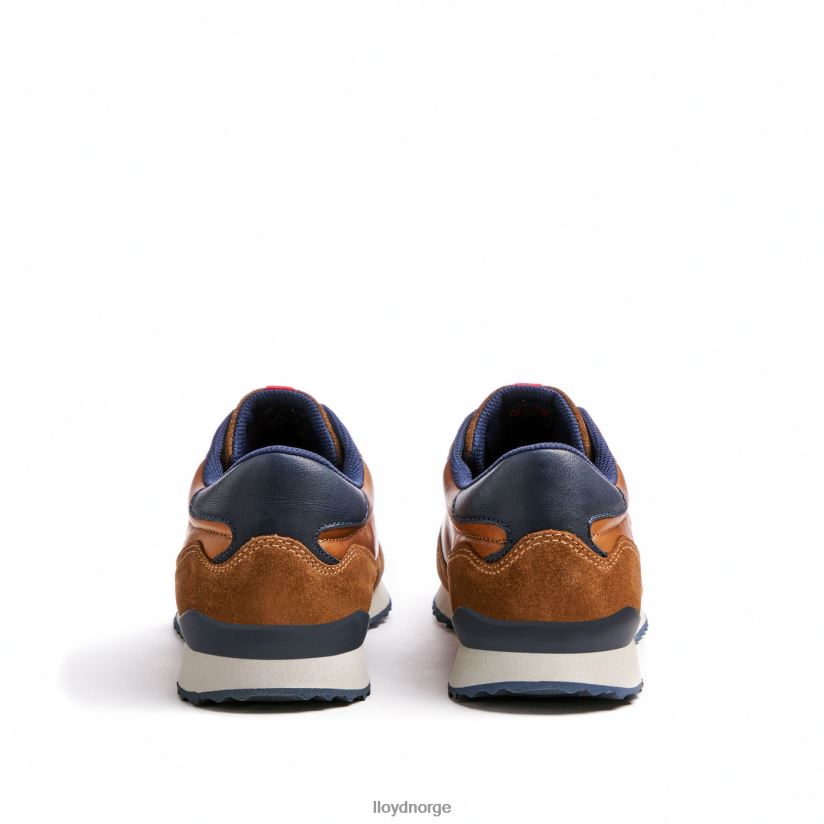 LLOYD edmond menn sko brun 4X82ZP310