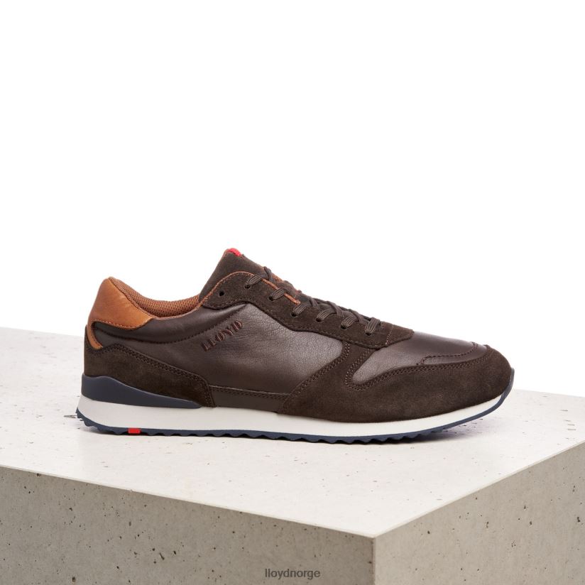 LLOYD edmond menn sko brun 4X82ZP401
