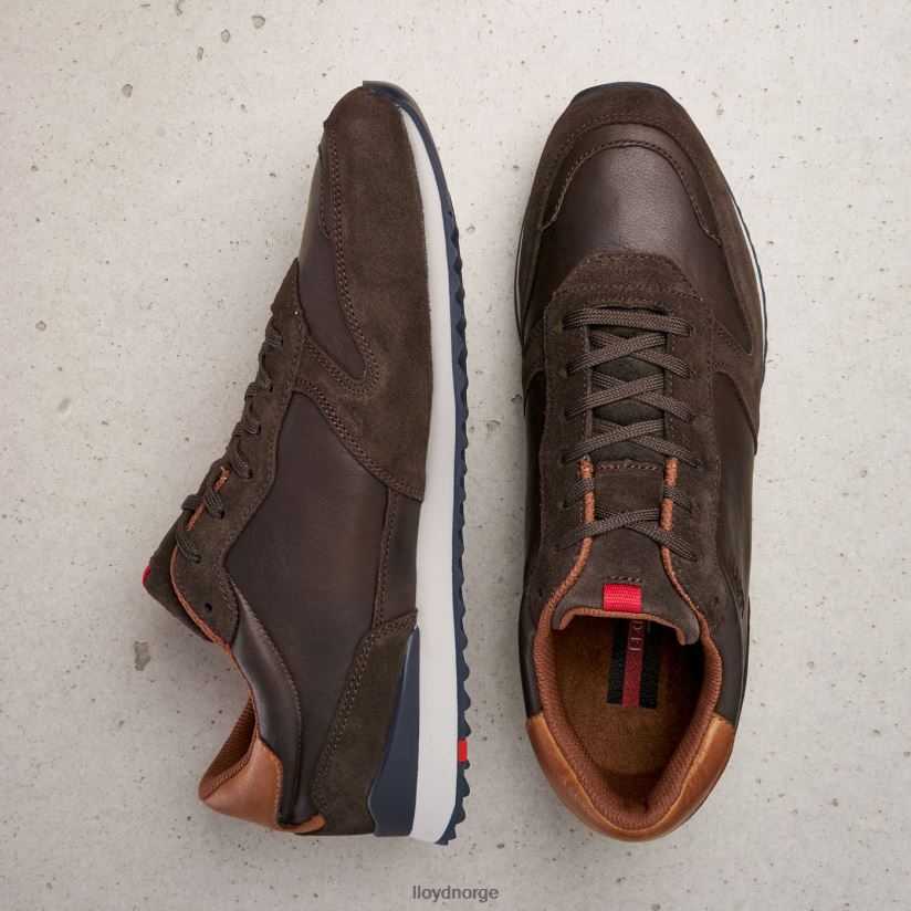 LLOYD edmond menn sko brun 4X82ZP401