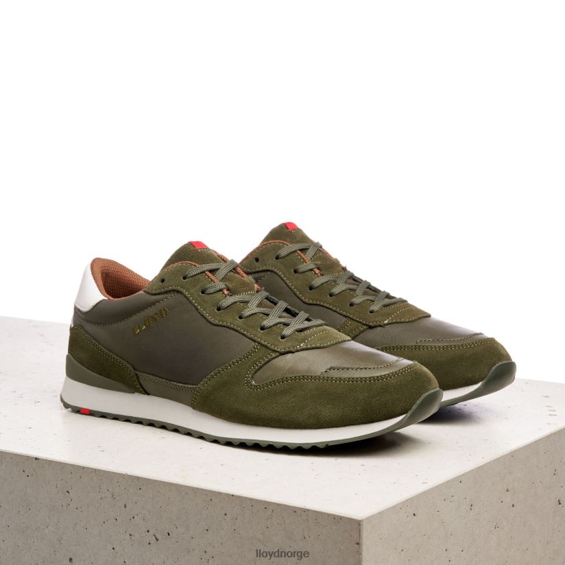 LLOYD edmond menn sko grønn 4X82ZP393