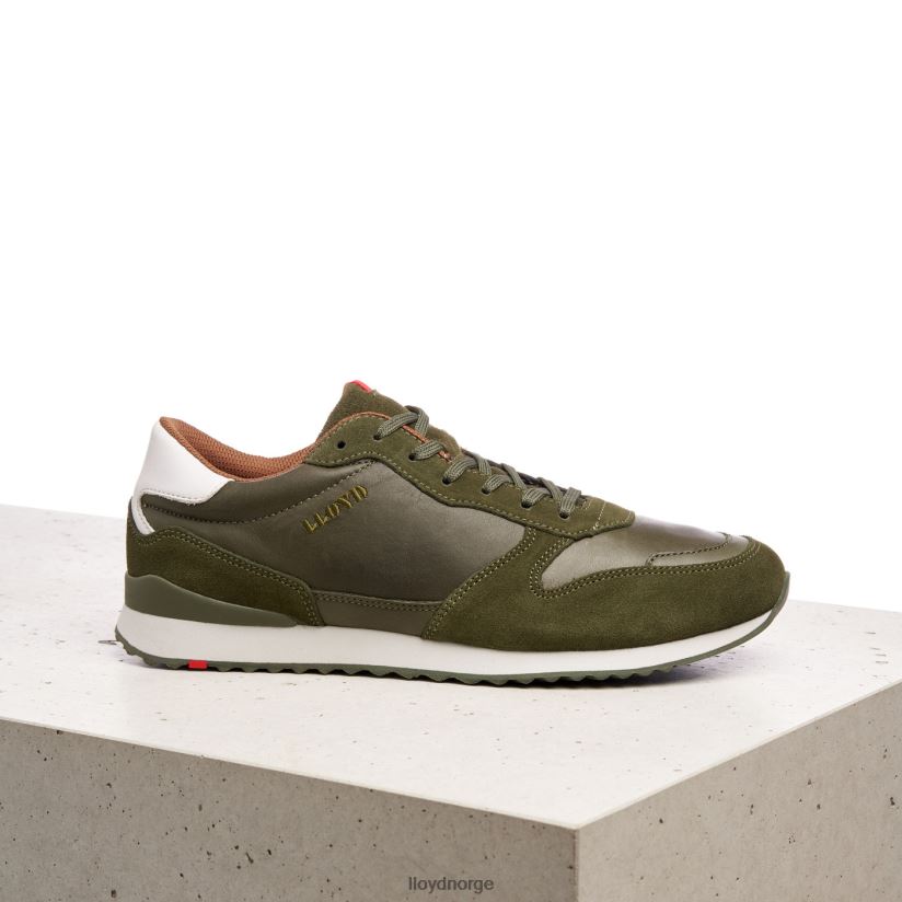 LLOYD edmond menn sko grønn 4X82ZP393