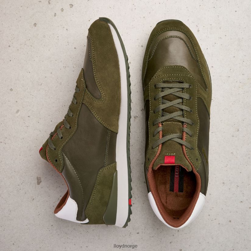 LLOYD edmond menn sko grønn 4X82ZP393