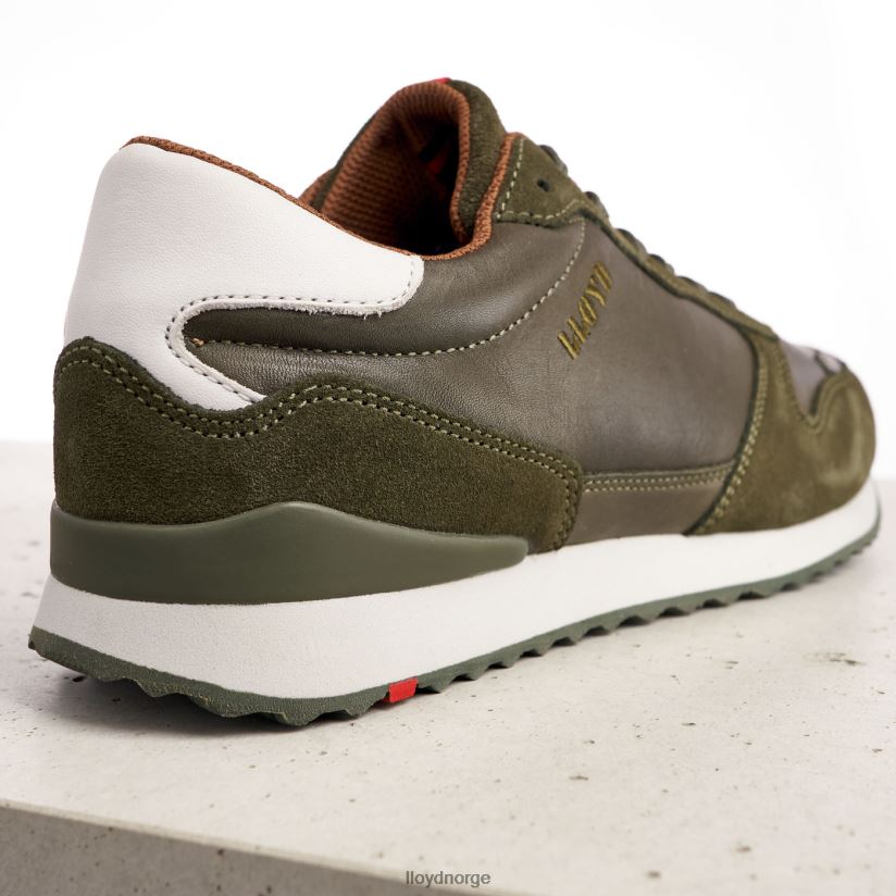 LLOYD edmond menn sko grønn 4X82ZP393