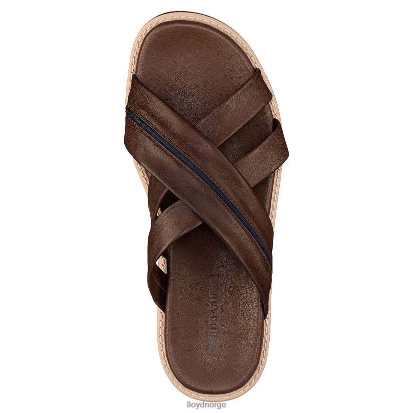 LLOYD edvino menn sko brun 4X82ZP584