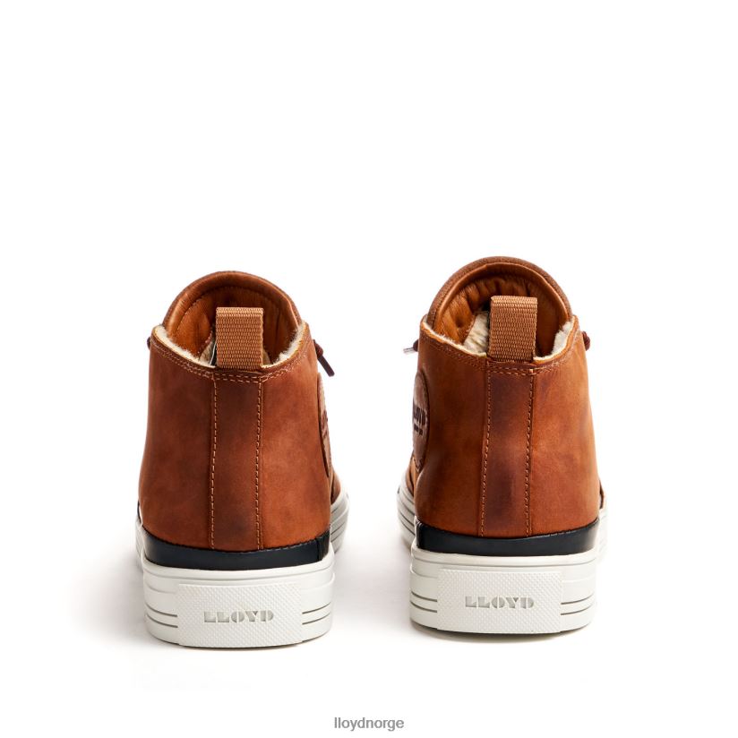 LLOYD edward menn sko brun 4X82ZP298