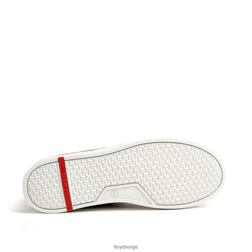 LLOYD edward menn sko brun 4X82ZP298