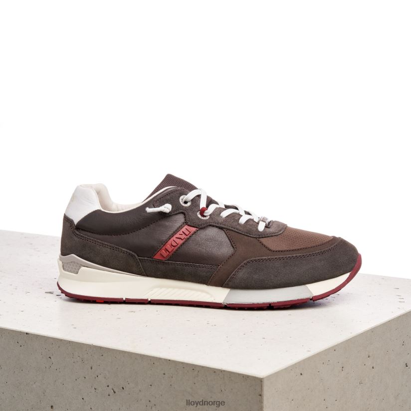 LLOYD egidio menn sko brun 4X82ZP432