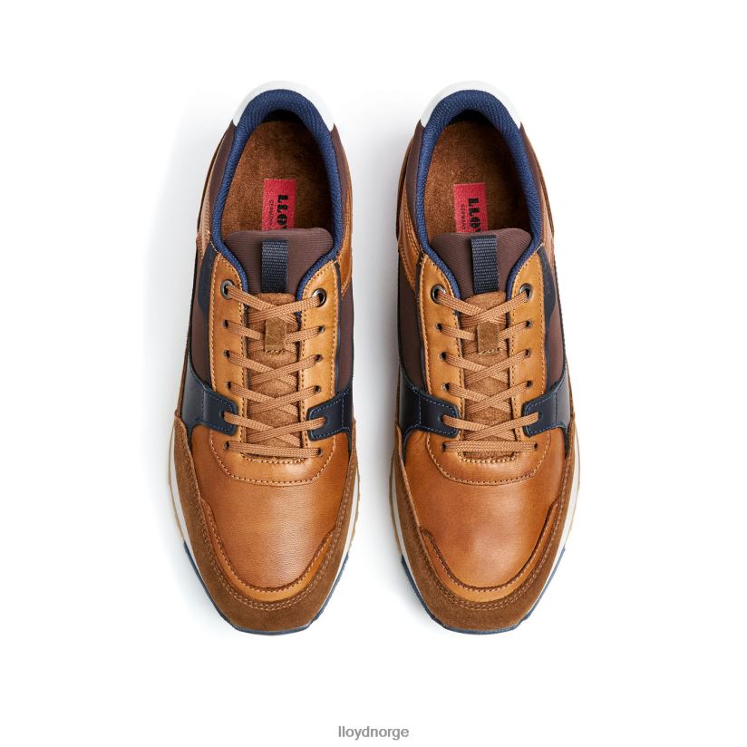 LLOYD eiron menn sko brun 4X82ZP293