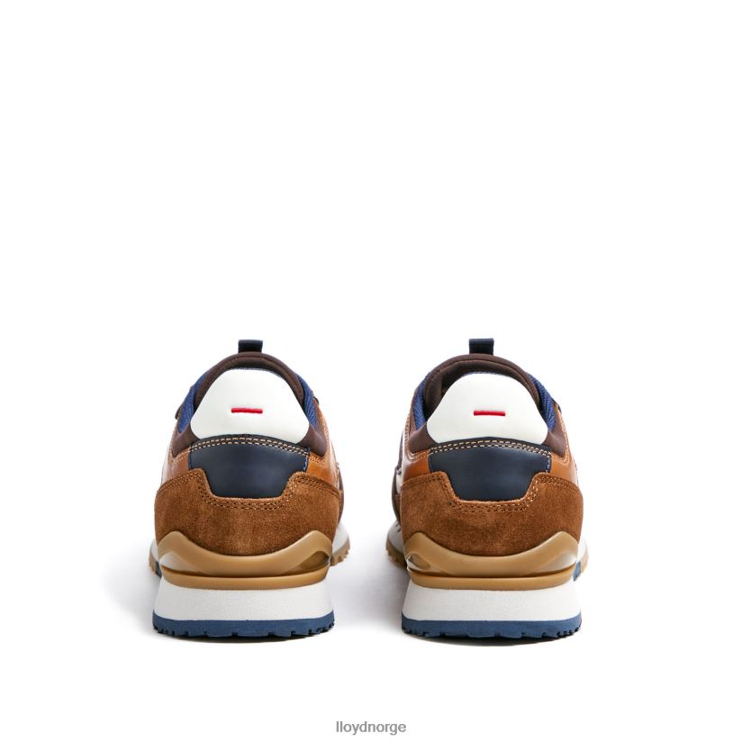 LLOYD eiron menn sko brun 4X82ZP293