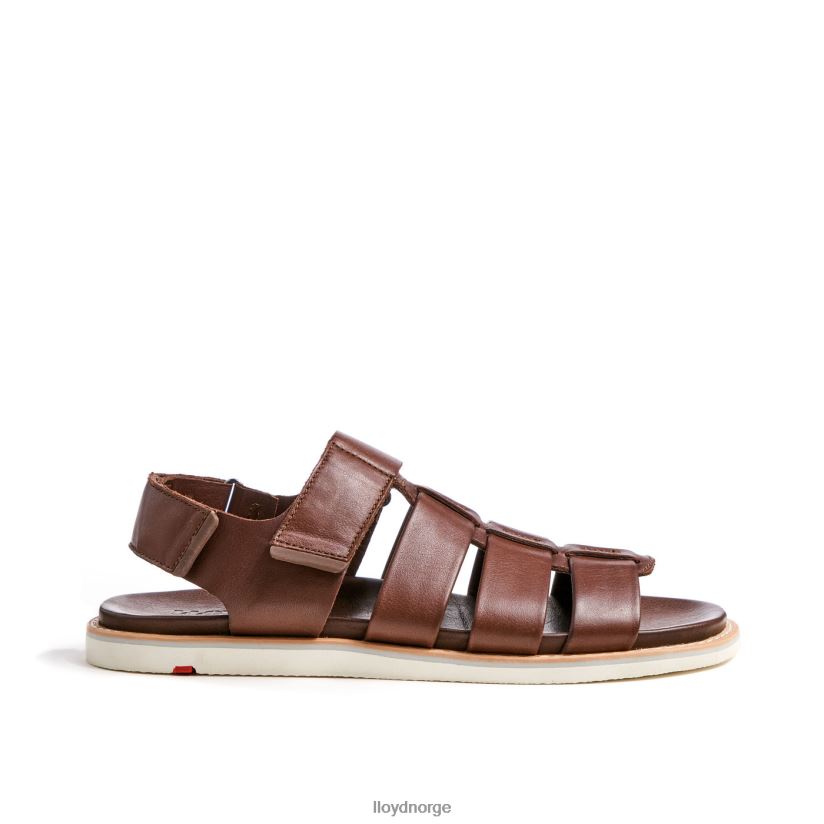 LLOYD elimar menn sko brun 4X82ZP583