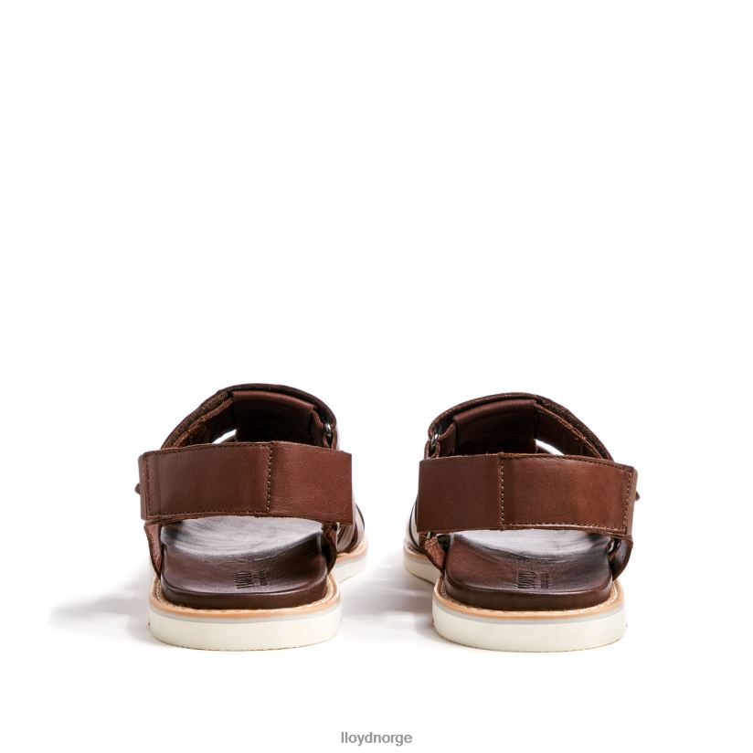 LLOYD elimar menn sko brun 4X82ZP583