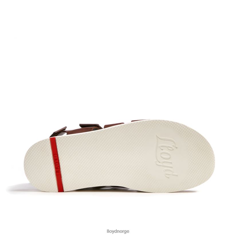 LLOYD elimar menn sko brun 4X82ZP583