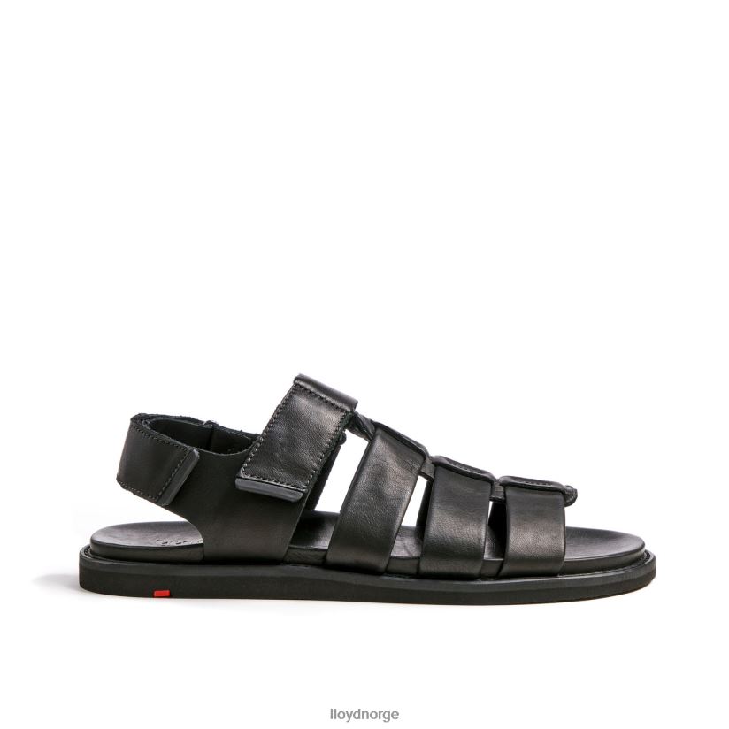 LLOYD elimar menn sko svart 4X82ZP580