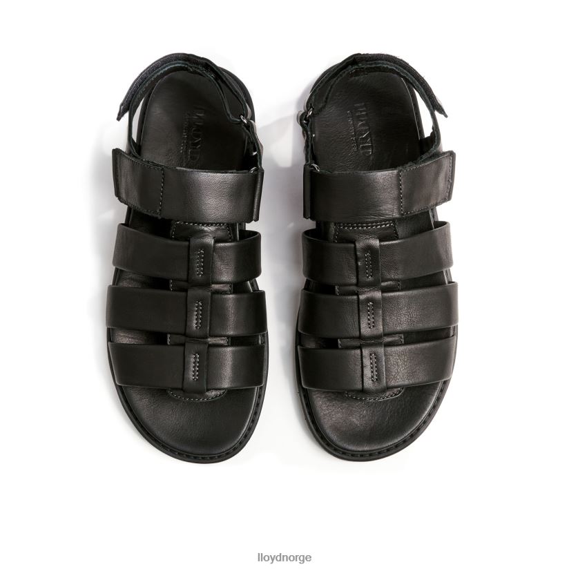 LLOYD elimar menn sko svart 4X82ZP580