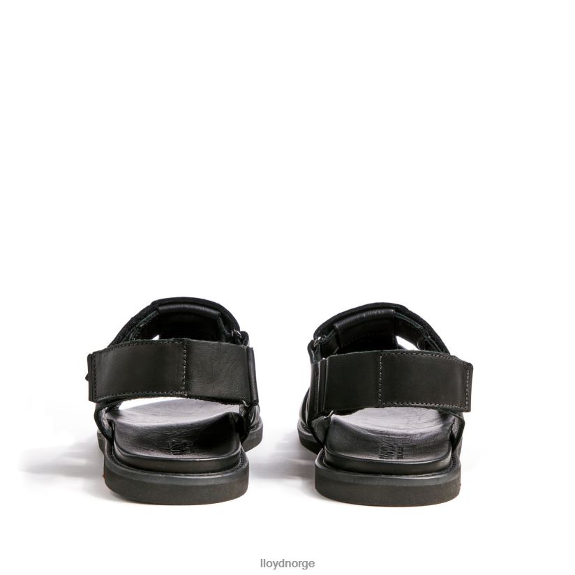 LLOYD elimar menn sko svart 4X82ZP580