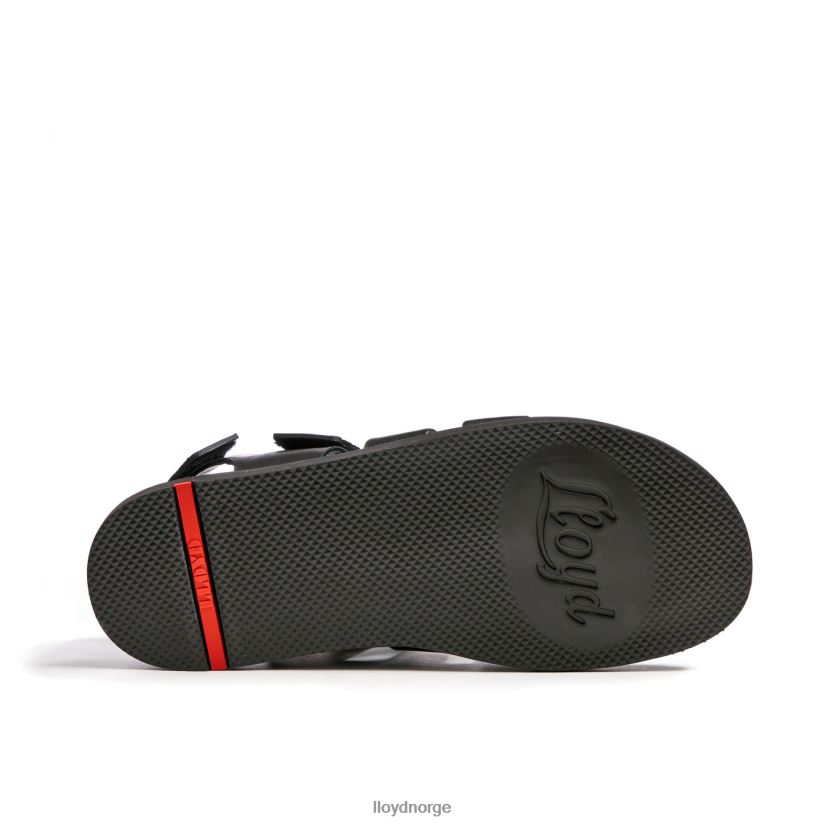 LLOYD elimar menn sko svart 4X82ZP580