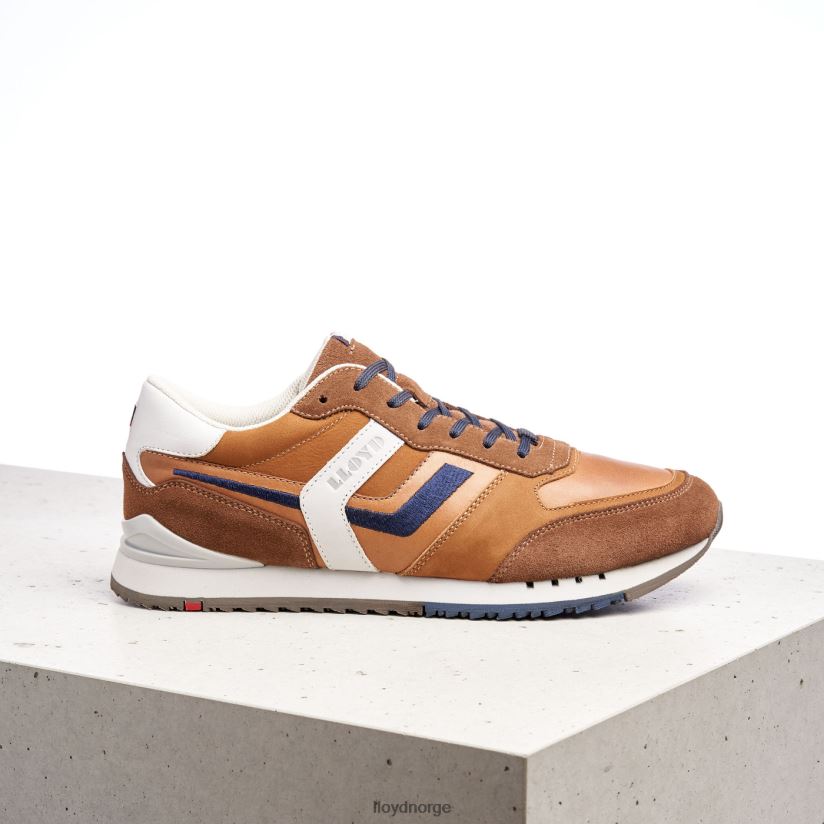 LLOYD elio menn sko brun 4X82ZP381