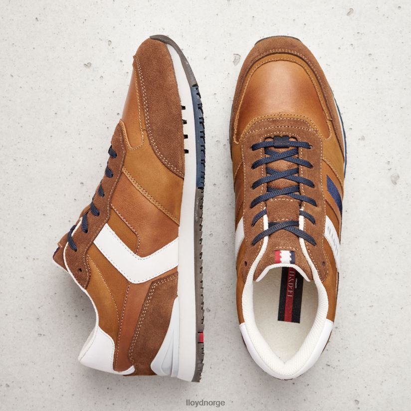 LLOYD elio menn sko brun 4X82ZP381