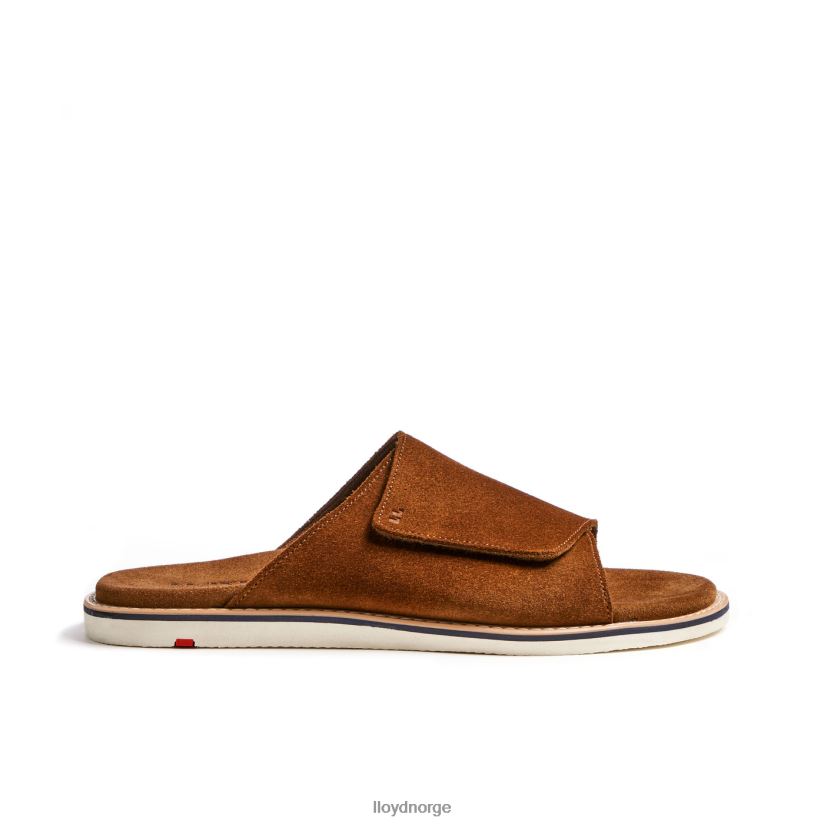 LLOYD elios menn sko brun 4X82ZP581