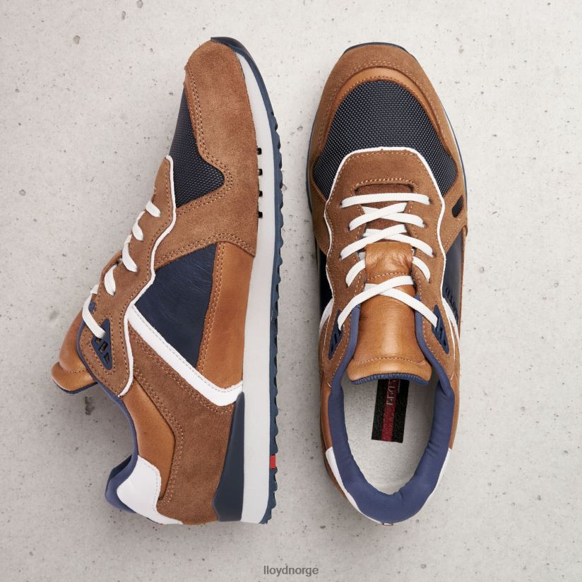 LLOYD elja menn sko brun 4X82ZP373