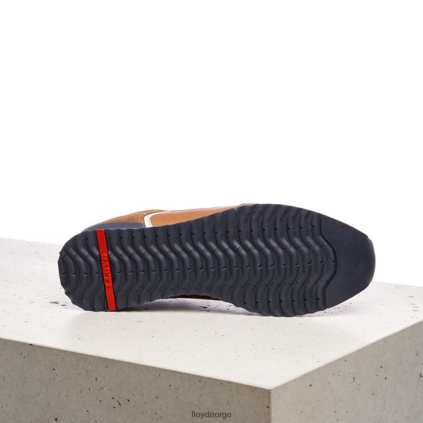 LLOYD elja menn sko brun 4X82ZP373