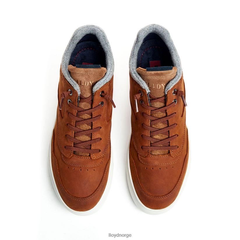 LLOYD ellison menn sko brun 4X82ZP316