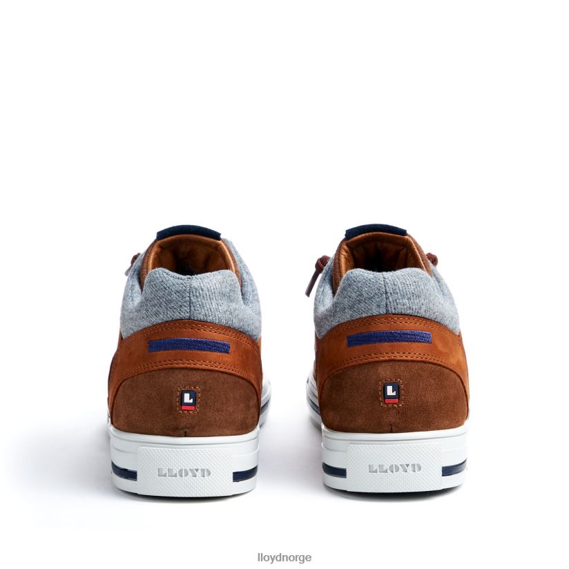 LLOYD ellison menn sko brun 4X82ZP316