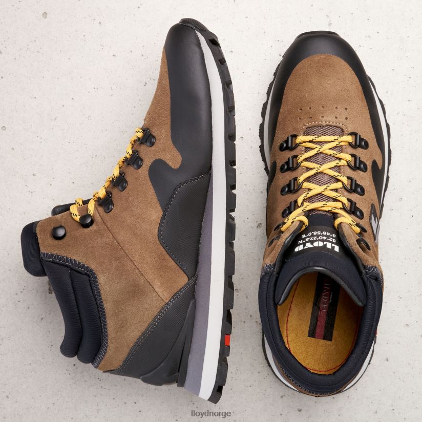 LLOYD elwas menn sko brun 4X82ZP551