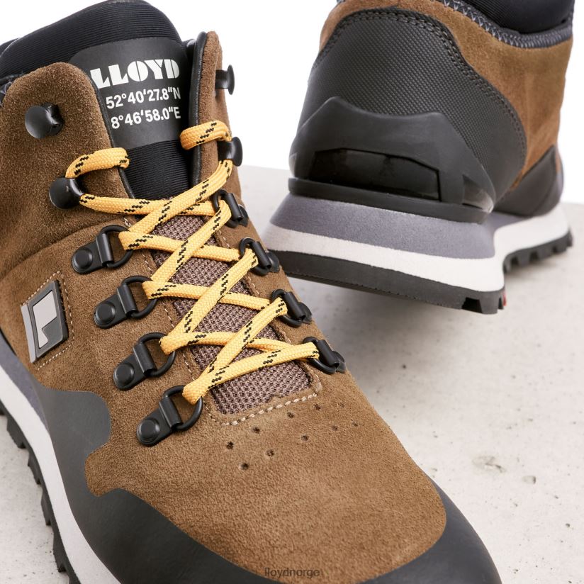 LLOYD elwas menn sko brun 4X82ZP551