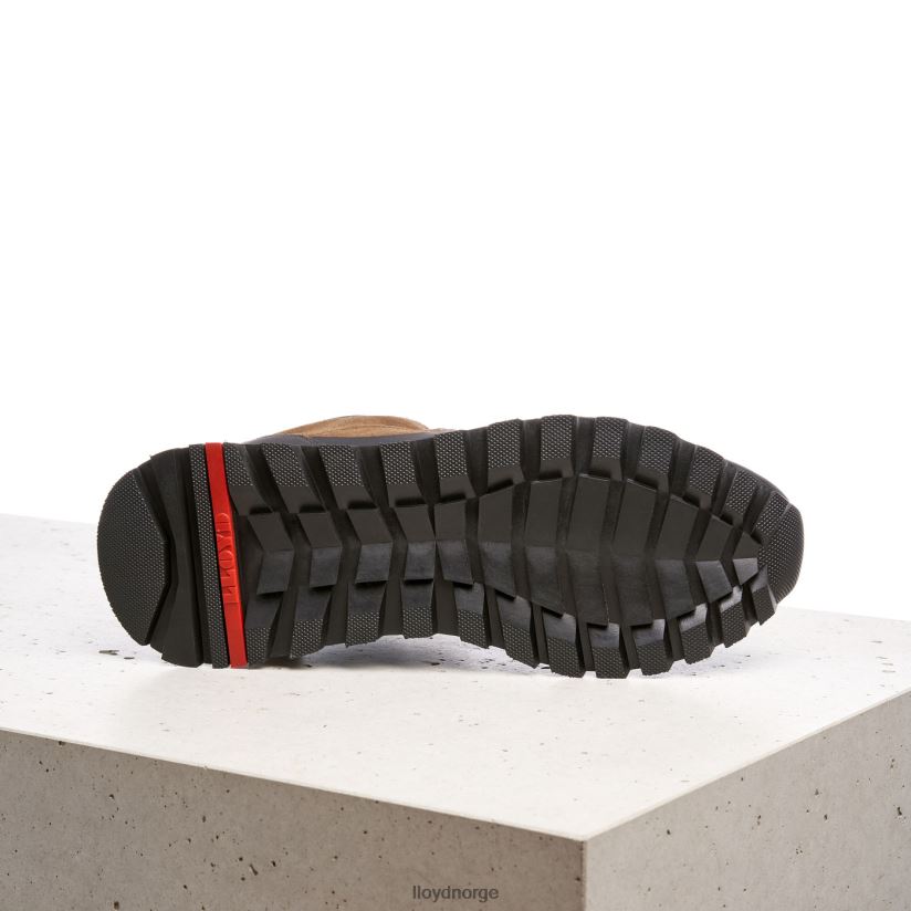 LLOYD elwas menn sko brun 4X82ZP551