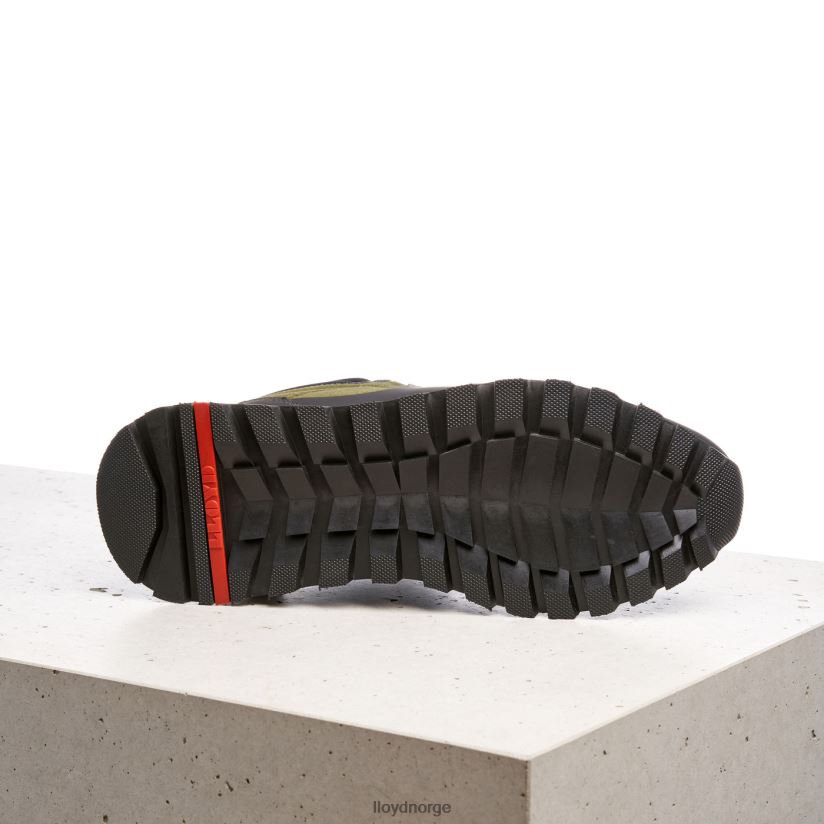 LLOYD elwas menn sko grønn 4X82ZP553