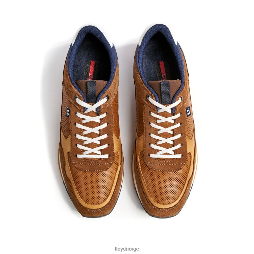 LLOYD emilian menn sko brun 4X82ZP282