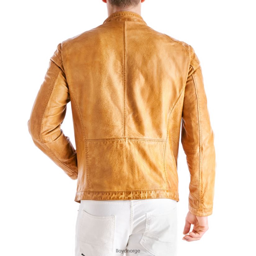 LLOYD emiliano menn klær gul 4X82ZP629