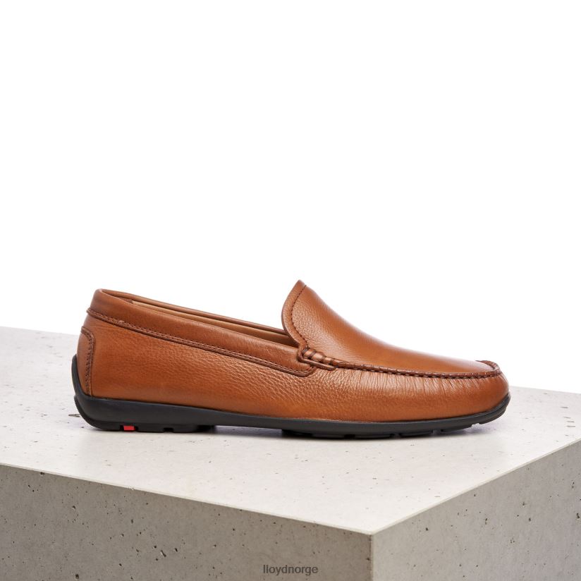 LLOYD emilio menn sko brun 4X82ZP603