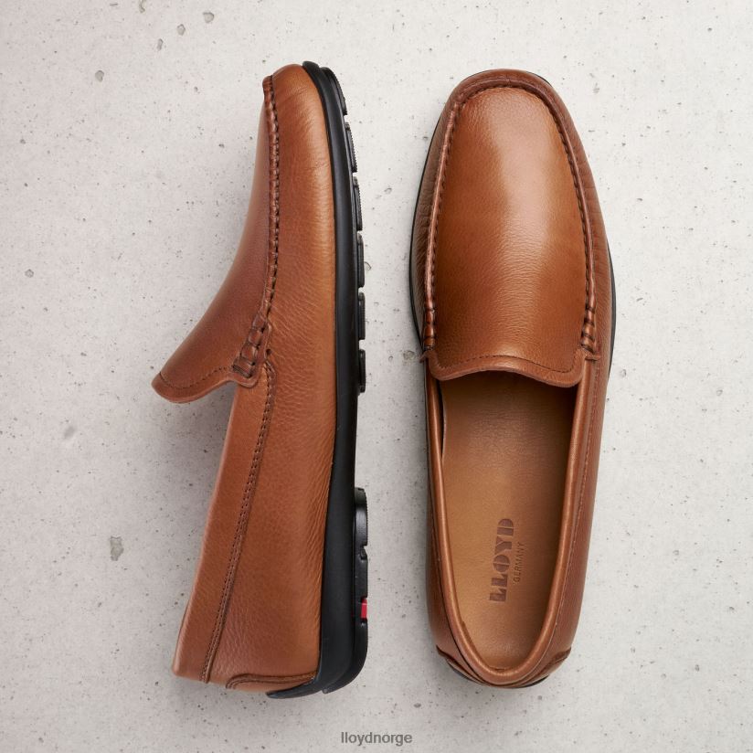 LLOYD emilio menn sko brun 4X82ZP603